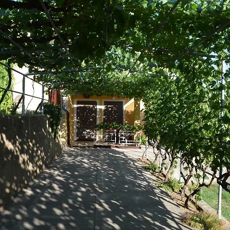 Elizabeta Draga Bascanska